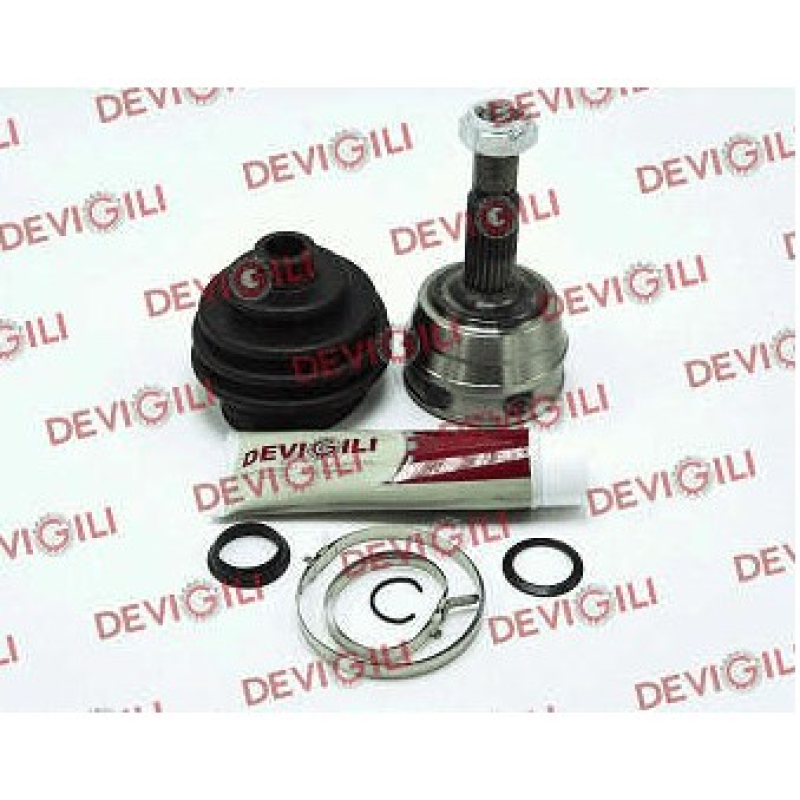 Homocinetica Devigili