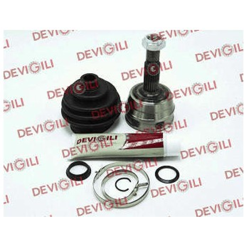 Homocinetica Devigili