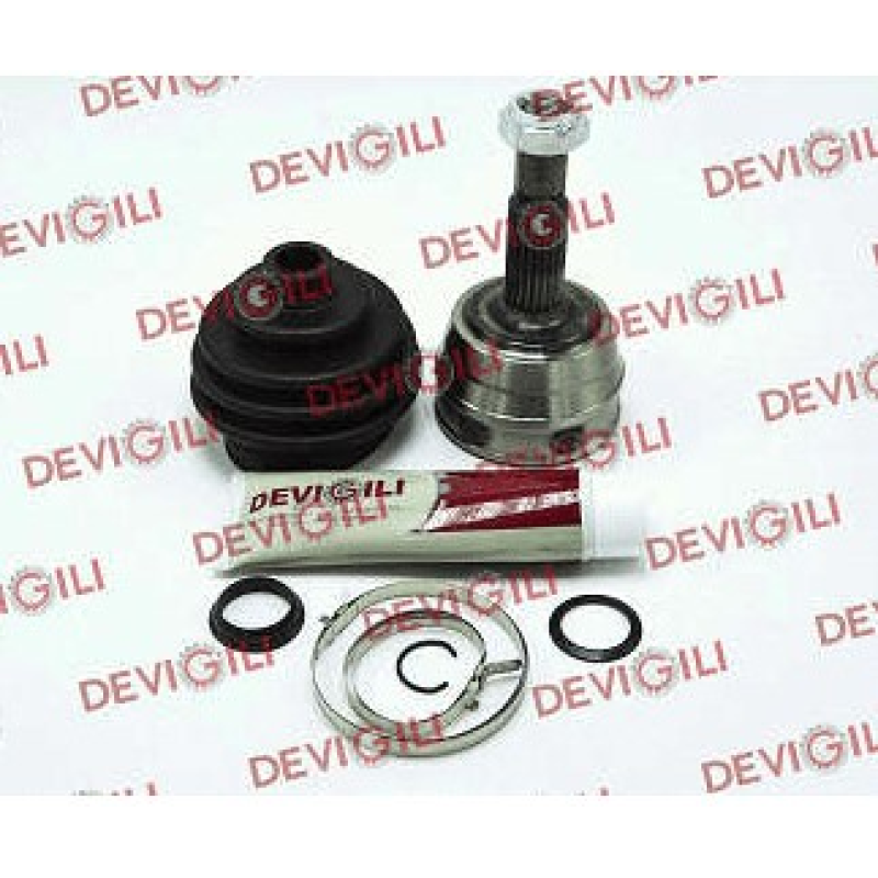 Homocinetica Devigili