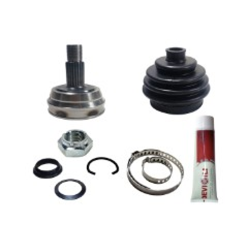 Homocinetica Devigili