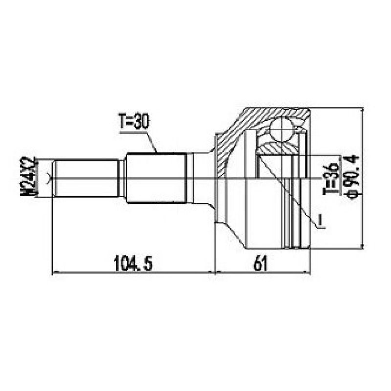 Homocinetica Devigili