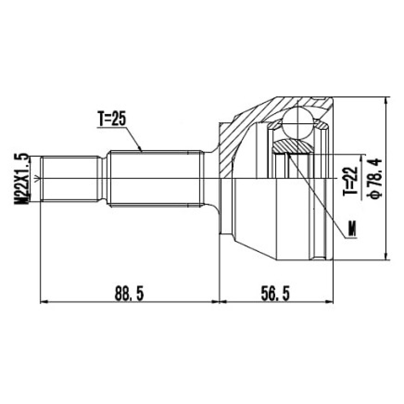 Homocinetica Devigili
