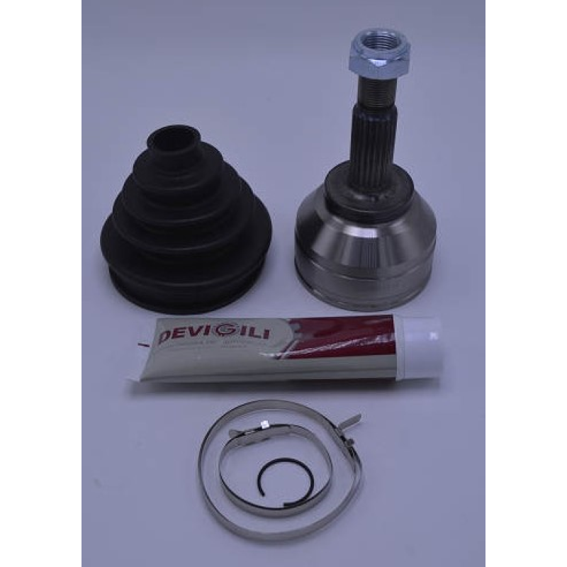 Homocinetica Devigili