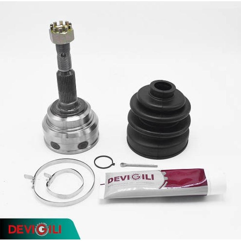 Homocinetica Devigili