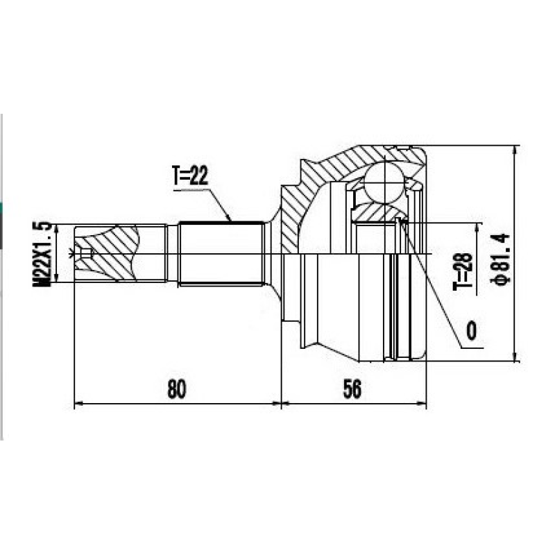 Homocinetica Devigili