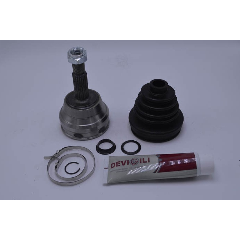 Homocinetica Devigili