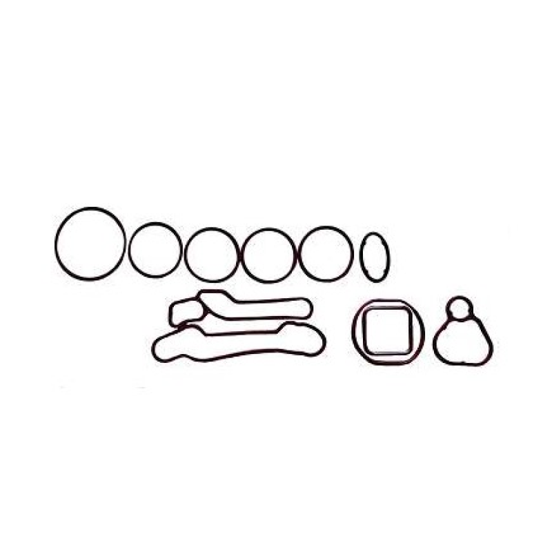 Junta Radiador Oleo Sabo