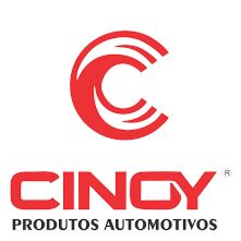 Amortecedor Porta Tras Cinoy