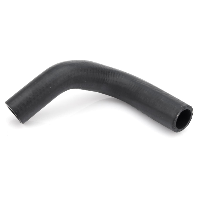 Mangueira Ar Quente Jamaica