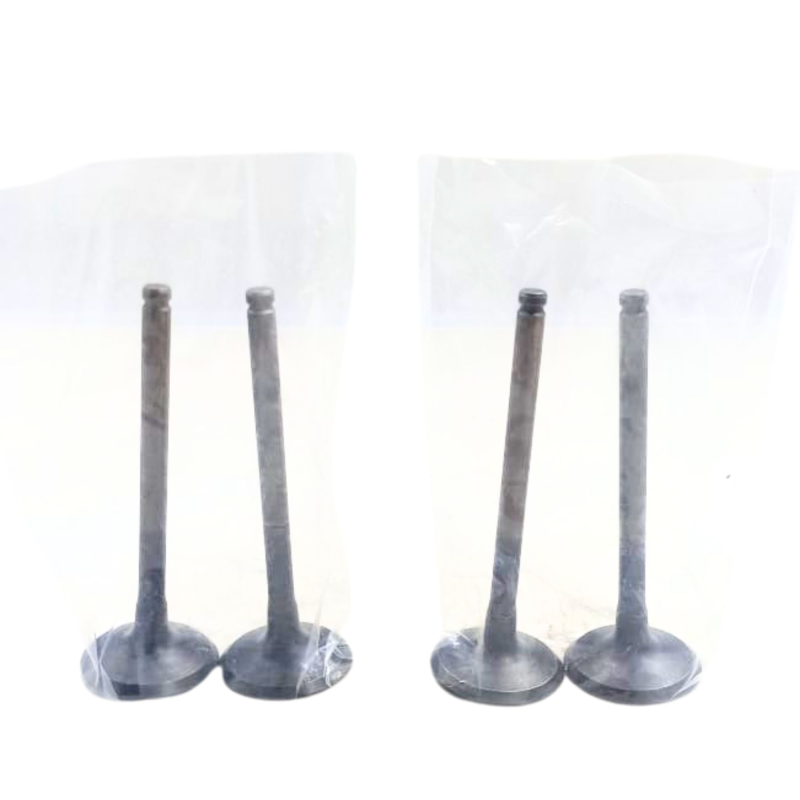 Valvula Esc Riosulense