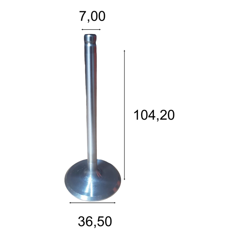 Valvula Esc Riosulense