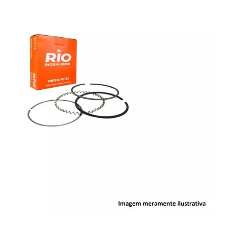 Anel Segmento Riosulense