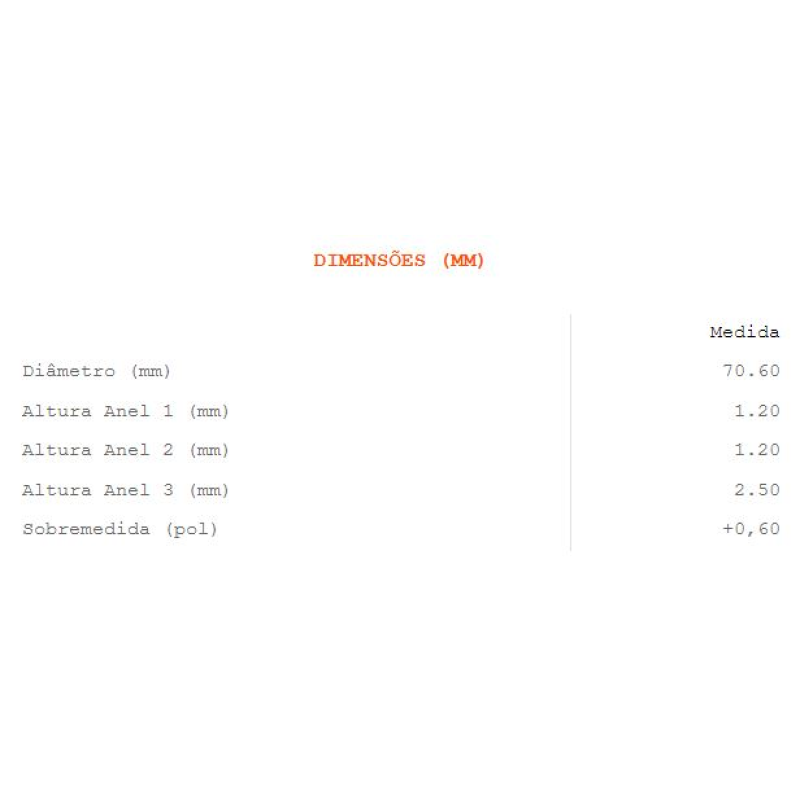 Anel Segmento Riosulense