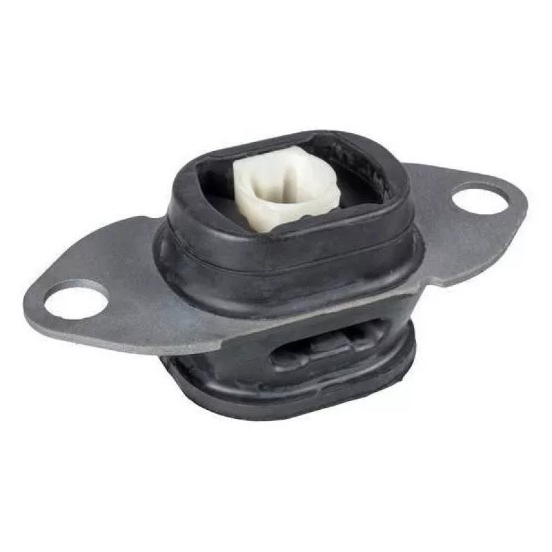 Coxim Mt Esq Renault