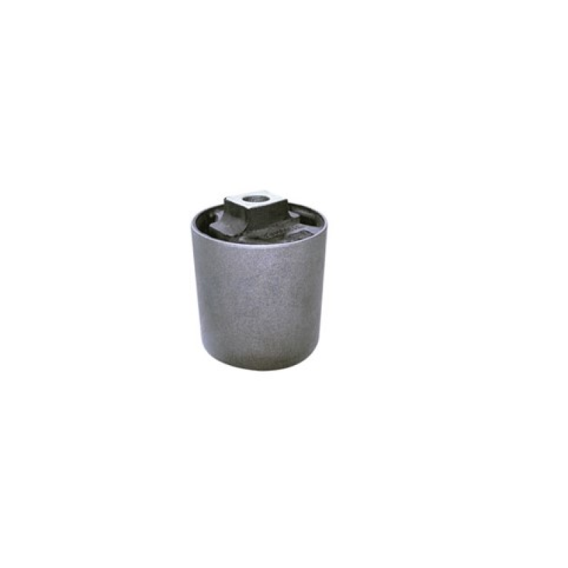 Bucha Coxim Cambio Mobensani