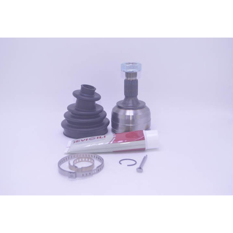 Homocinetica Devigili