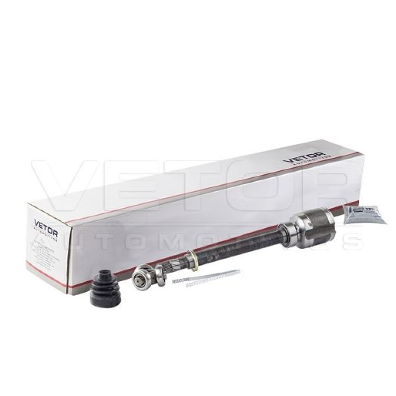 Tulipa Lado Direito Vetor