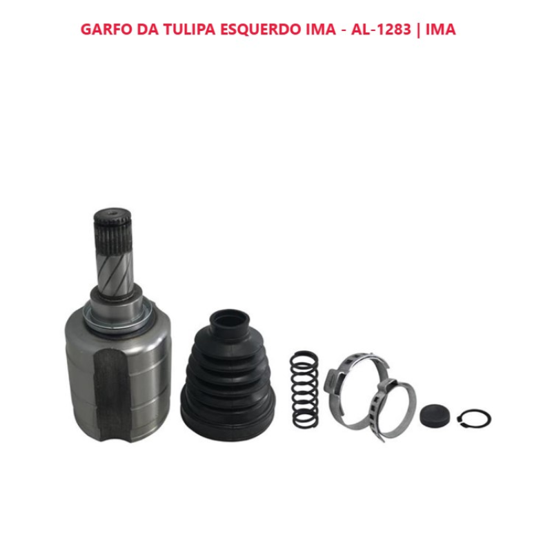 Tulipa Esq Ima