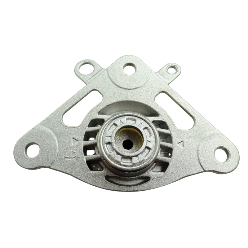 Coxim Amort Tras Dir