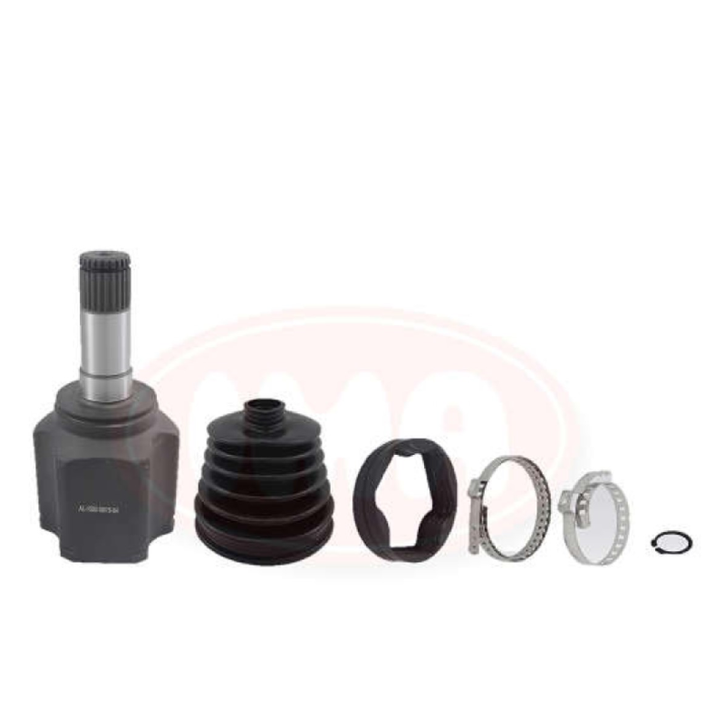 Tulipa Cambio Esq Ima