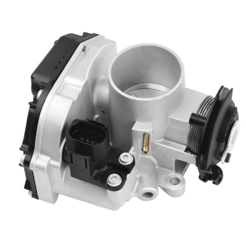 Corpo Borboleta Mrmk