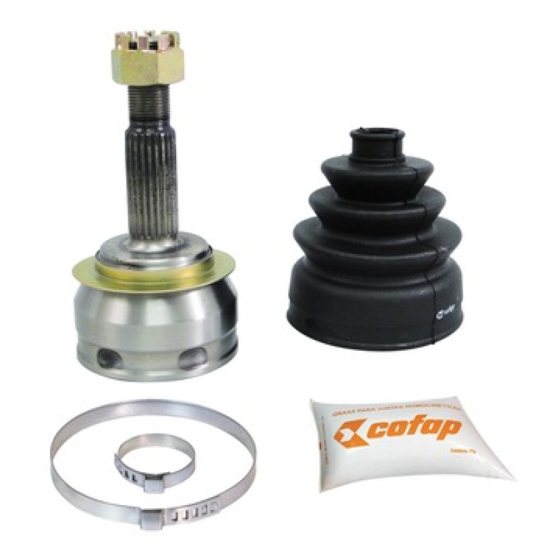 Homocinetica Jhc04110