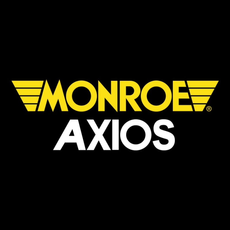 Amortecedor Diant Esq Sp113 Monroe
