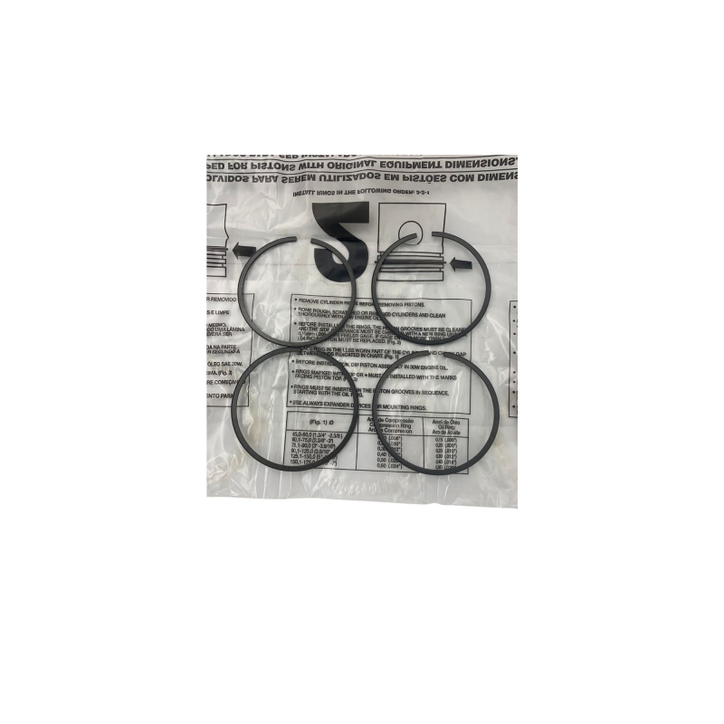 Anel Segmento Centrinel